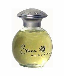 Terra Nova Shea Blossom Perfume-shea butter-oil-massage-terra nova perfumes-terra nova shea
