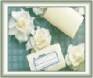  Terra Nova Gardenia Glycerin Soap: Glycerin Soaps